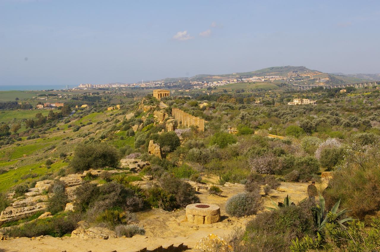 13.03.01 Agrigente, la vallée des temples (8)