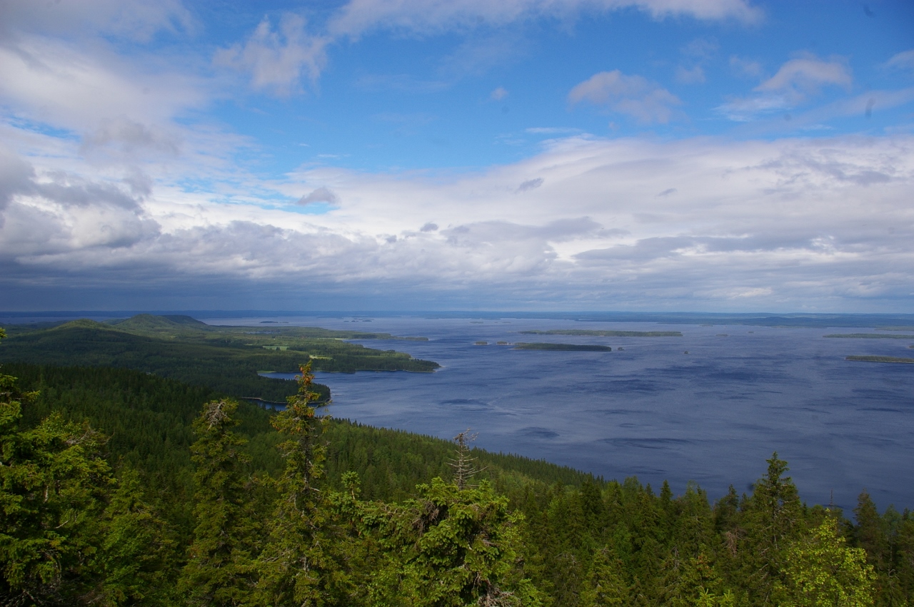 13.06.15 (5)- Koli (1280x851)