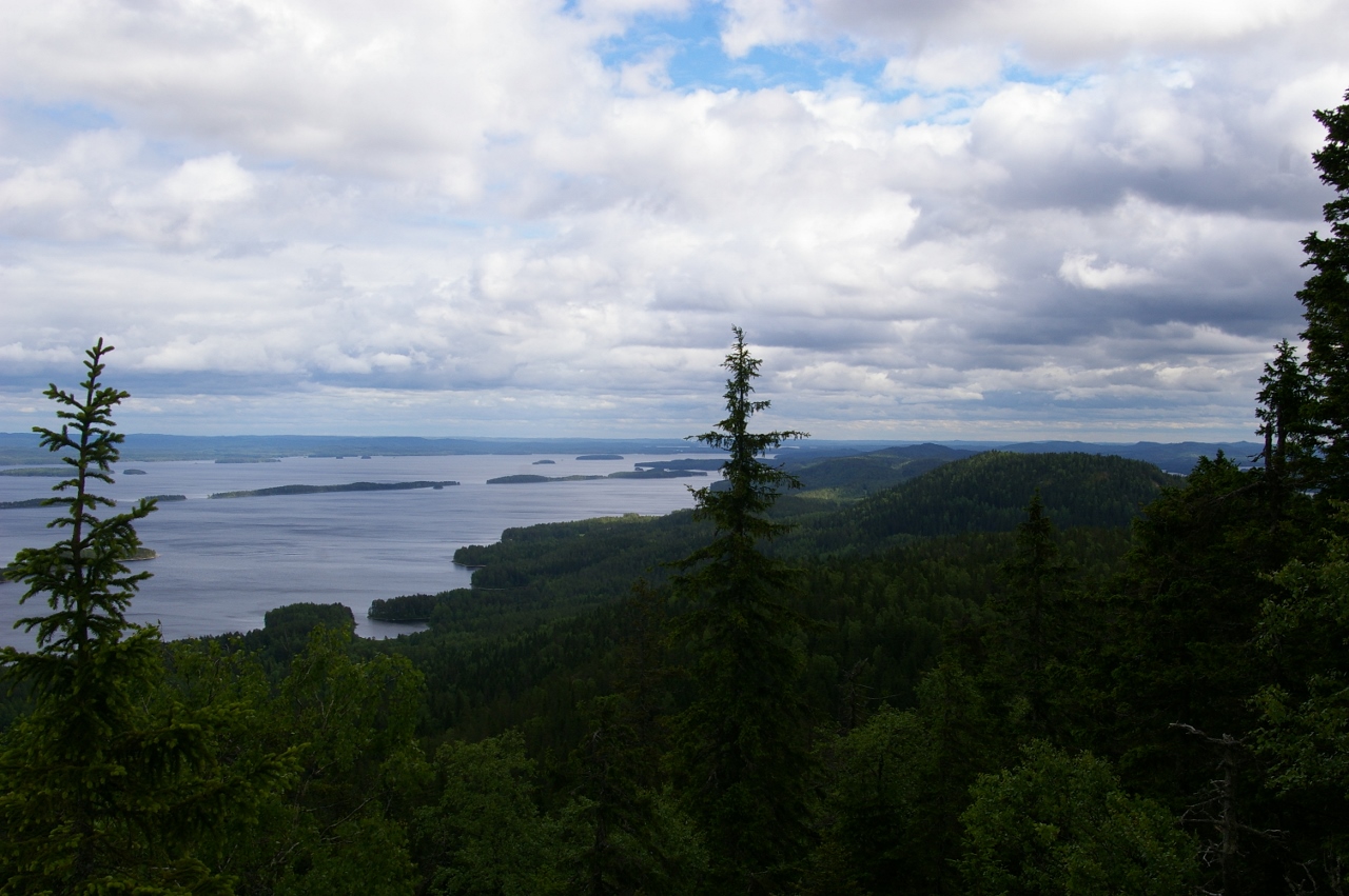 13.06.15 (9)- Koli (1280x851)